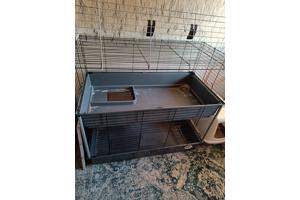 Cavia kooi met twee verdiepingen
