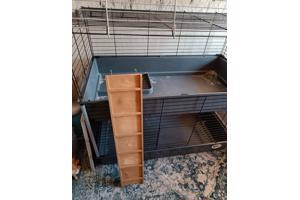 Cavia kooi met twee verdiepingen
