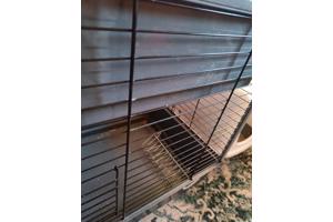 Cavia kooi met twee verdiepingen