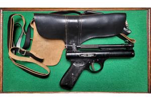 Webley Premier 5,5mm.