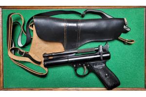 Webley Premier 5,5mm.