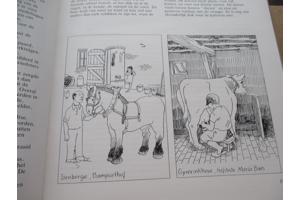 Landelijk leven in Vlaanderen