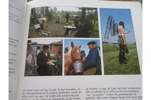 Landelijk leven in Vlaanderen