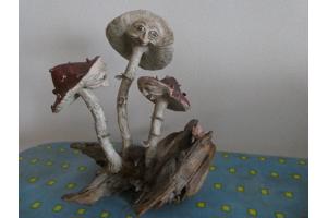 Zelf gemaakte Paddenstoelen