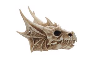 Nieuw Draken schedel fantasy