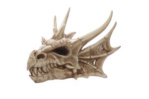 Nieuw Draken schedel fantasy
