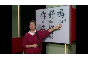 Teleac Cursus Chinees