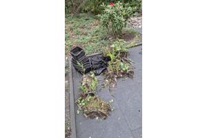 Pomp, bakken voor en met waterplanten