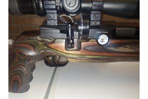 FX Dreamline GRS .22