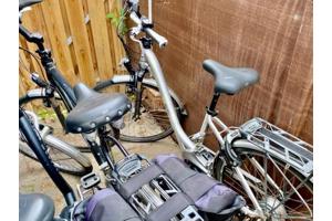 Flyer Elektrische Fietsen Partij en Van Raam Balance €2900