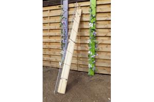 Klimplanten tegen tuinschermen tuinmuren en palen