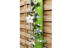 Klimplanten tegen tuinschermen tuinmuren en palen