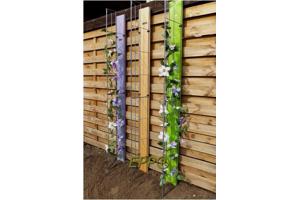 Klimplanten tegen tuinschermen tuinmuren en palen