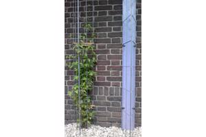 Klimplanten tegen tuinschermen tuinmuren en palen