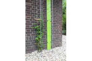 Klimplanten tegen tuinschermen tuinmuren en palen