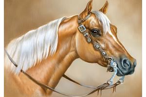 nr 101 Diamond Painting paard 50x40cm (rond)
