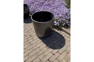 Verschillende bloempotten