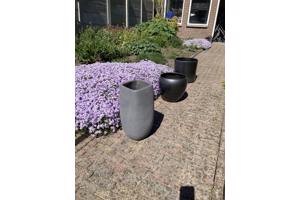 Verschillende bloempotten