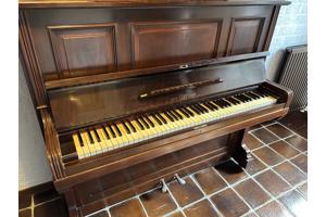 Piano rich LIPP sohn