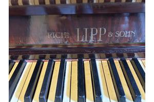 Piano rich LIPP sohn