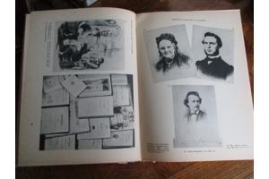 De Nederlandsche  Letterkunde in Beeld