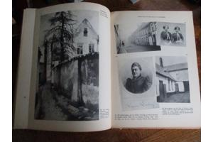 De Nederlandsche  Letterkunde in Beeld