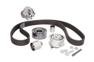 Conti CT1134 WP2 Tandriemset met waterpomp