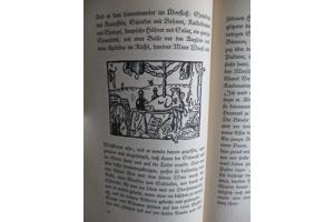 Felix Timmermans  -  Pallieter