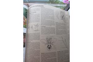R. Herwig - Het grote Tuin en Kamerplantenboek