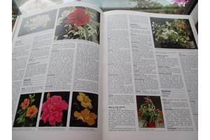 R. Herwig - Het grote Tuin en Kamerplantenboek