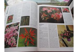 R. Herwig - Het grote Tuin en Kamerplantenboek
