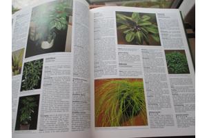 R. Herwig - Het grote Tuin en Kamerplantenboek