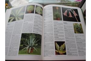 R. Herwig - Het grote Tuin en Kamerplantenboek