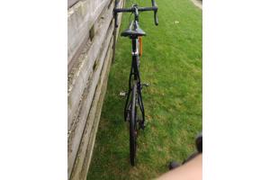 Ridley x night cyclocross