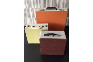 Lp’s & Singles koffer