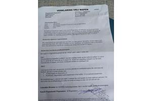 Te Koop vrijgesteld Salonpistool