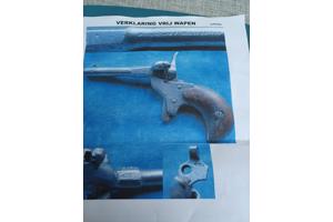 Te Koop vrijgesteld Salonpistool