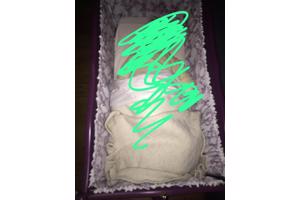 Wiegje met hemeltje en matras