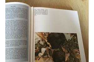 Boek Aquitanië om op reis te gaan in Frankrijk TOP