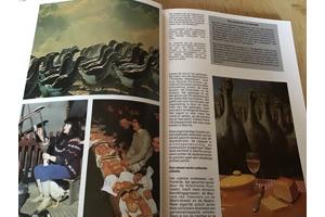 Boek Aquitanië om op reis te gaan in Frankrijk TOP