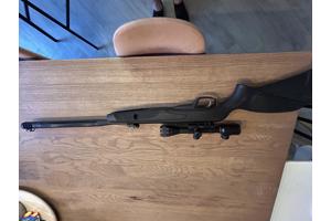 Gamo Black Maximm + Nico Stirling Gold Crown Air King