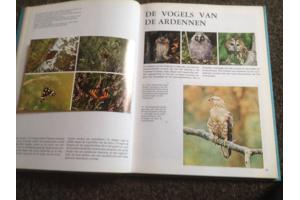 Boek NATUUR en het KLIMAAT en het plantenleed in heel België