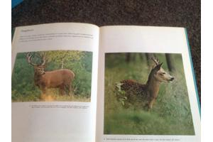 Boek NATUUR en het KLIMAAT en het plantenleed in heel België