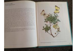 Boek NATUUR en het KLIMAAT en het plantenleed in heel België