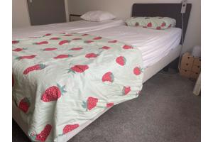 Pullman Elektrisch 1 persoons Bed Hoofeind incl Auping Matras.