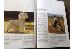 Boek van honden ,lieve en schattige huisdieren ,mensenvriend