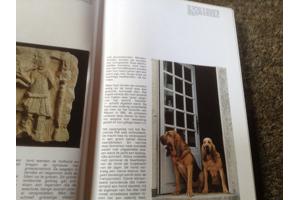 Boek van honden ,lieve en schattige huisdieren ,mensenvriend