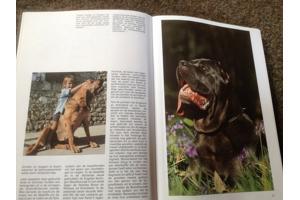 Boek van honden ,lieve en schattige huisdieren ,mensenvriend