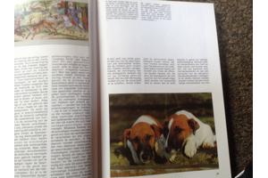 Boek van honden ,lieve en schattige huisdieren ,mensenvriend