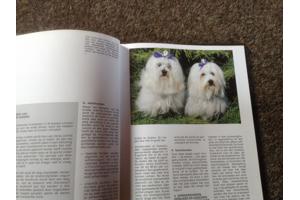 Boek van honden ,lieve en schattige huisdieren ,mensenvriend